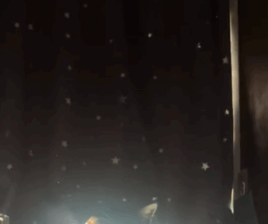 毎朝起こしてくれる愛猫。　→しかし、飼い主「うわあぁぁぁ」衝撃的な光景に…「ツボすぎる」「断末魔が聞こえるw」「神々しい」