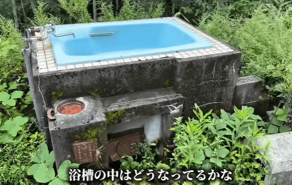 500万円で買った家の“露天風呂”を再生した結果…→まさかの出会いに「こういう生活に憧れる」「救出のくだり笑いました」