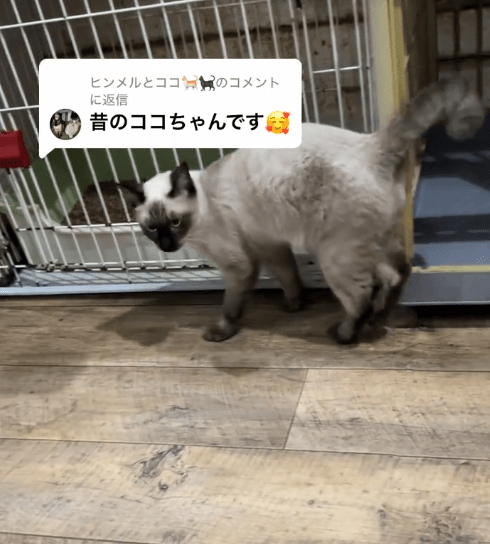 【実際の写真5枚】　現在の様子