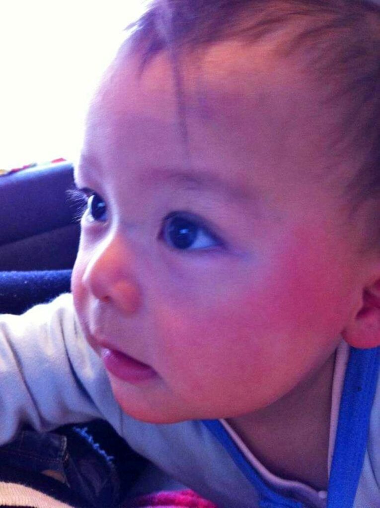 【実際の写真7枚】　6年後の様子