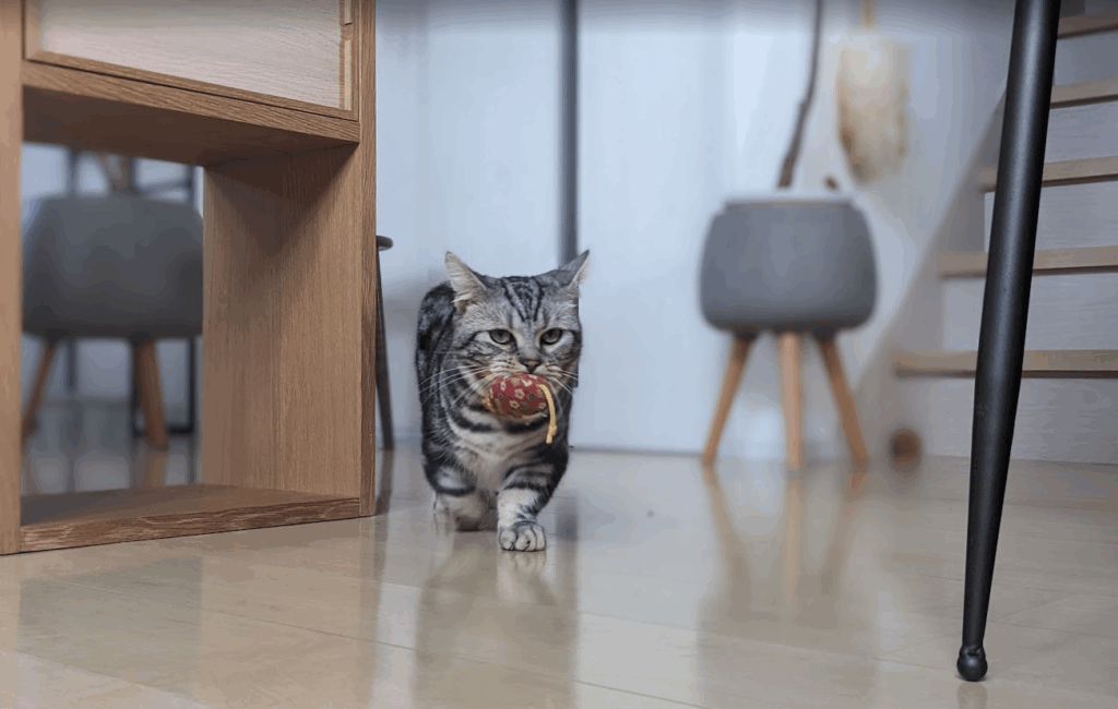 【実際の写真】40分後の光景