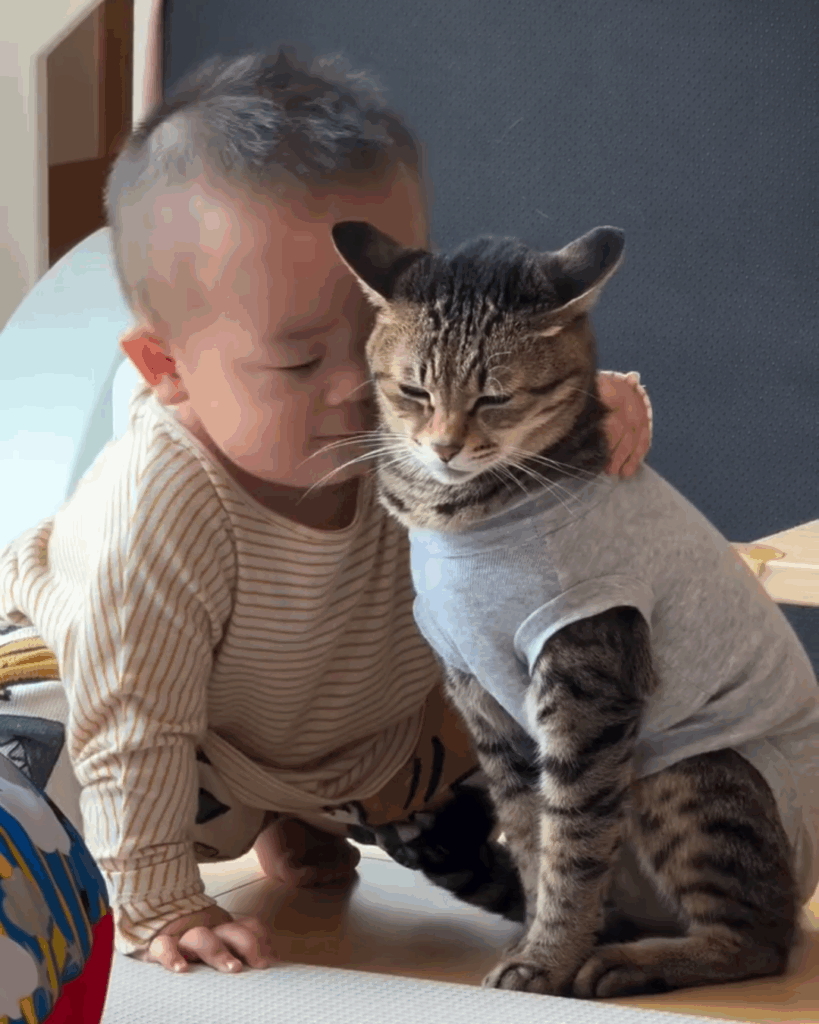 息子くんとMugiちゃんのスキンシップ②（@halu4809さんより提供）