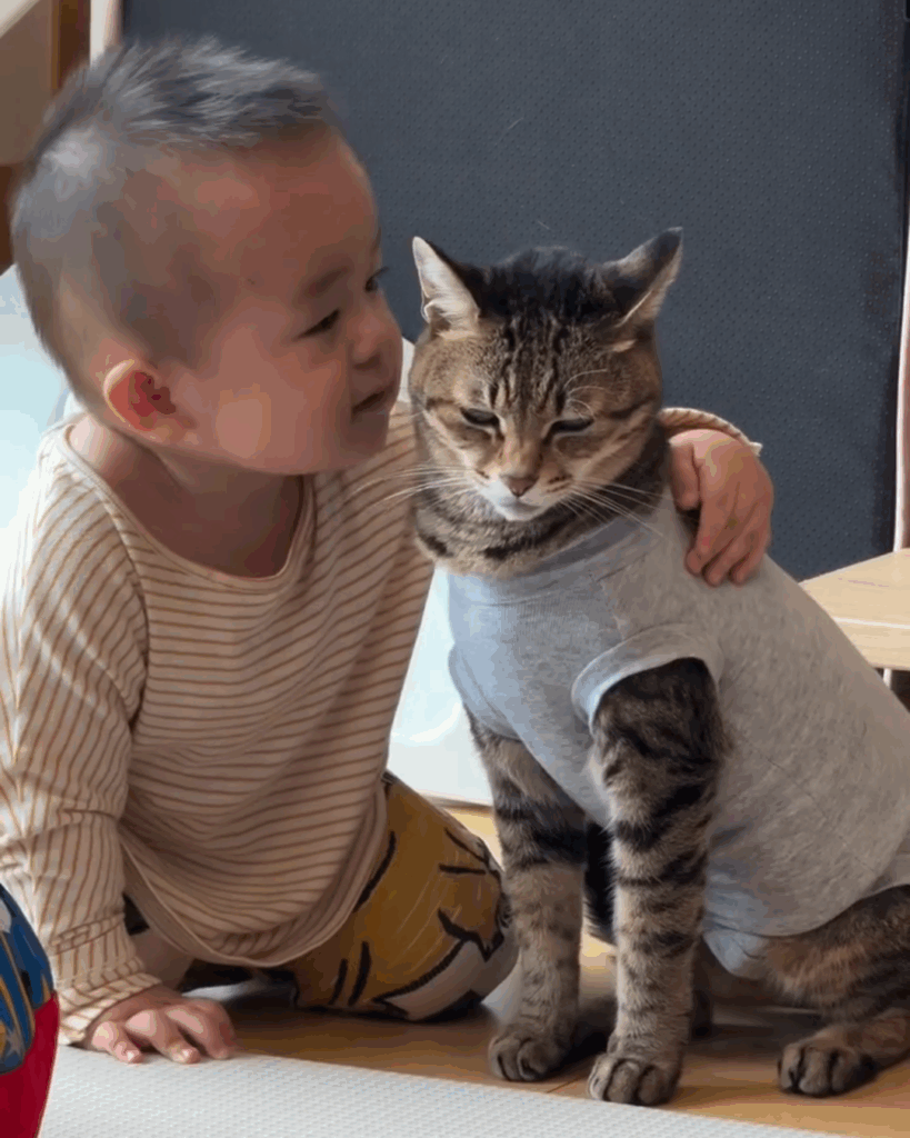 息子くんとMugiちゃんのスキンシップ③（@halu4809さんより提供）