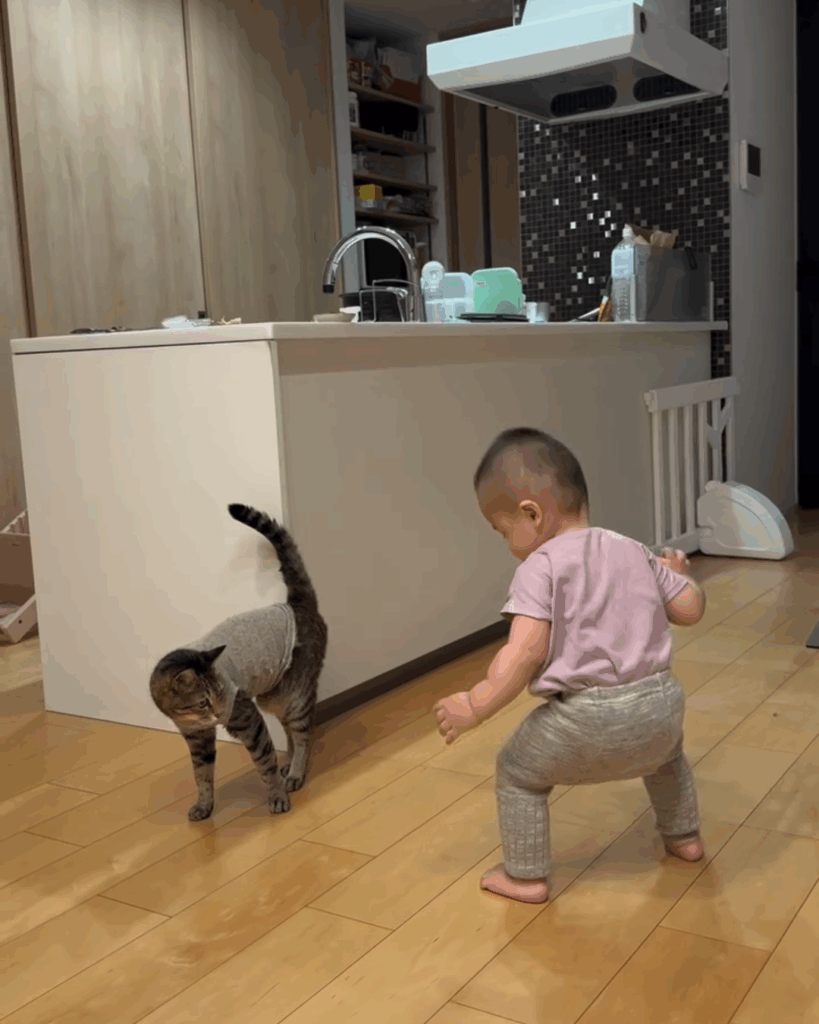 息子くんとMugiちゃんの日常②（@halu4809さんより提供）