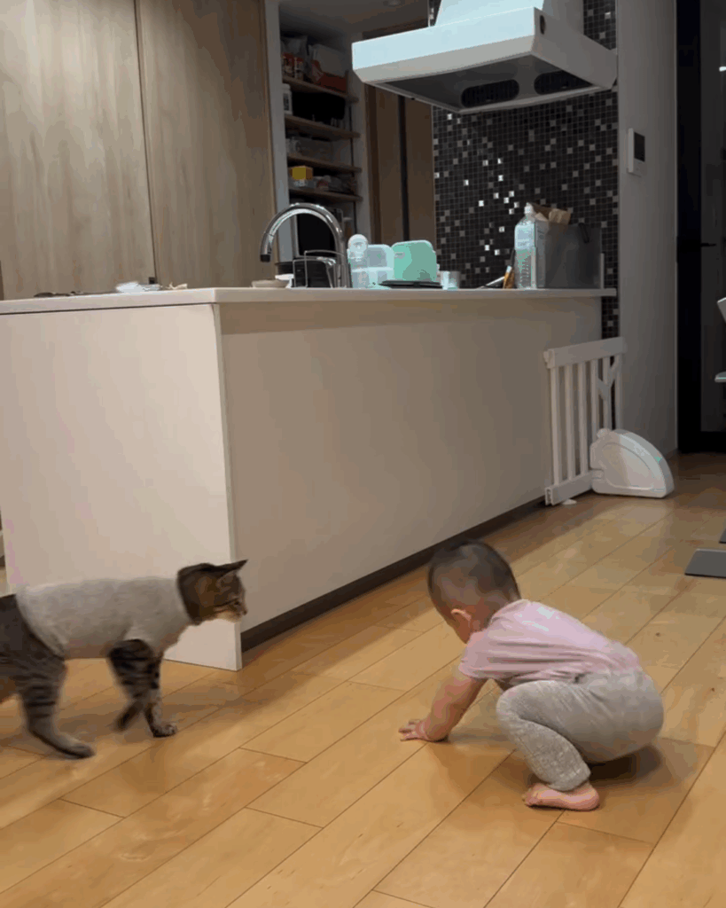 息子くんとMugiちゃんの日常③（@halu4809さんより提供）