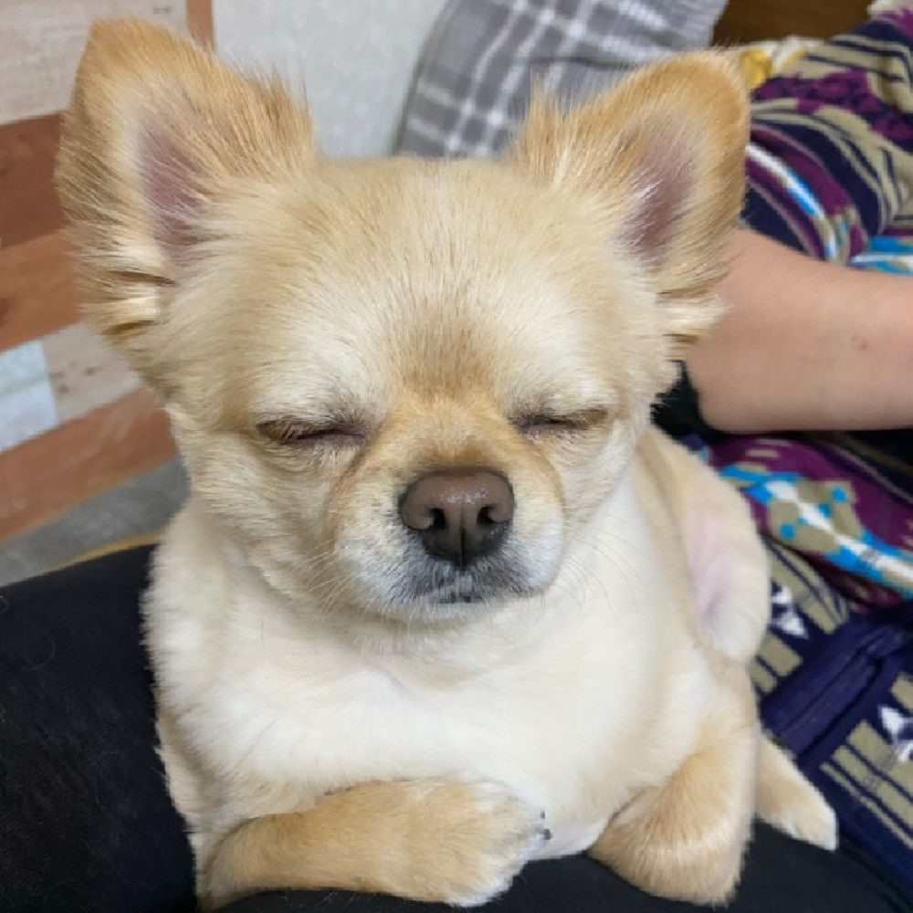 【実際の写真4枚】　投稿者さんが見た光景