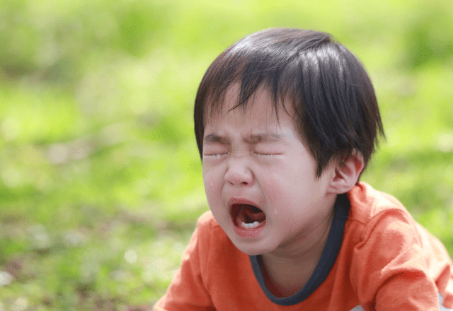 【実際の写真】息子さんに渡したマスク