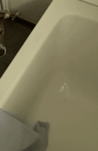 シャワーを浴びていると…「何か違和感」→足元を見てみると…気づいた“違和感の原因”に「立派なナイト」「可愛すぎる」「うちの子達もついてきます」