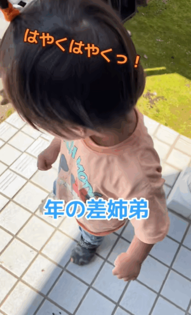 【実際の写真5枚】　ママが見た光景