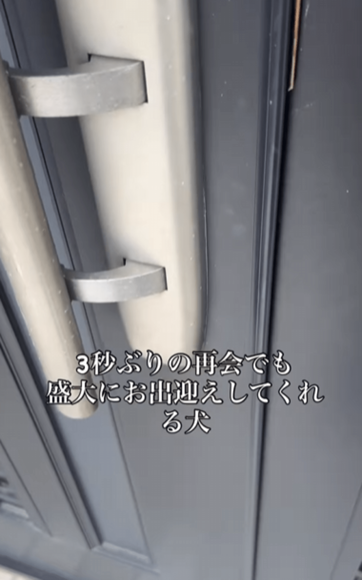 家を出て3秒後。再び扉を開けると、まさかの光景に…「こんなん仕事行けない」「寿命3年伸びた」「可愛すぎ」