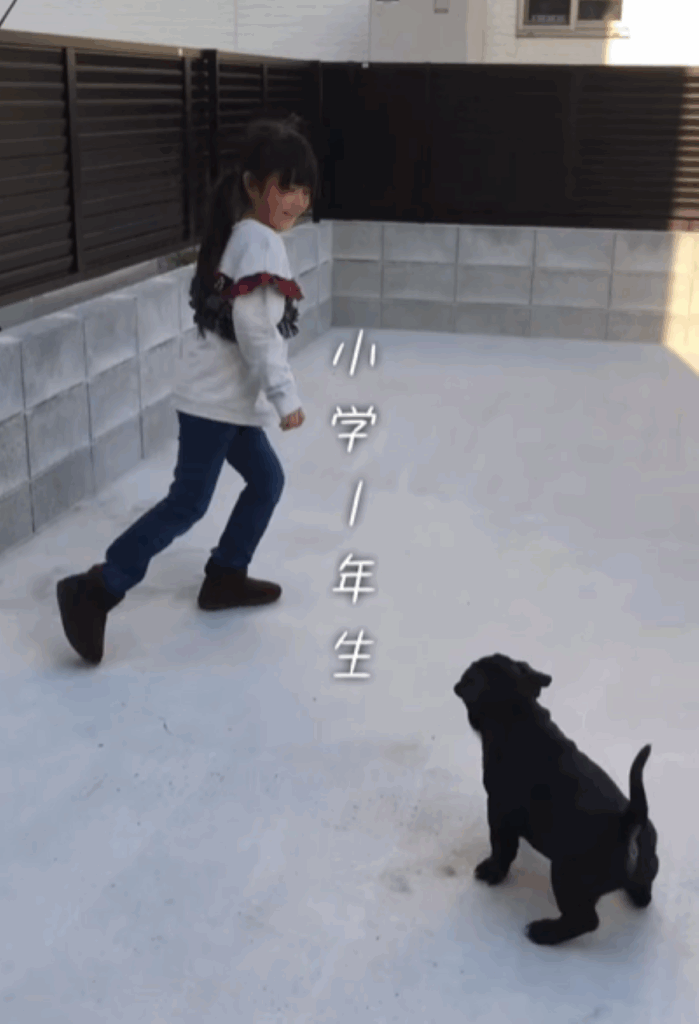 【実際の写真7枚】　1年後の様子