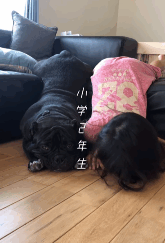 小学2年生（＠americanbully_atom0106さんより提供）