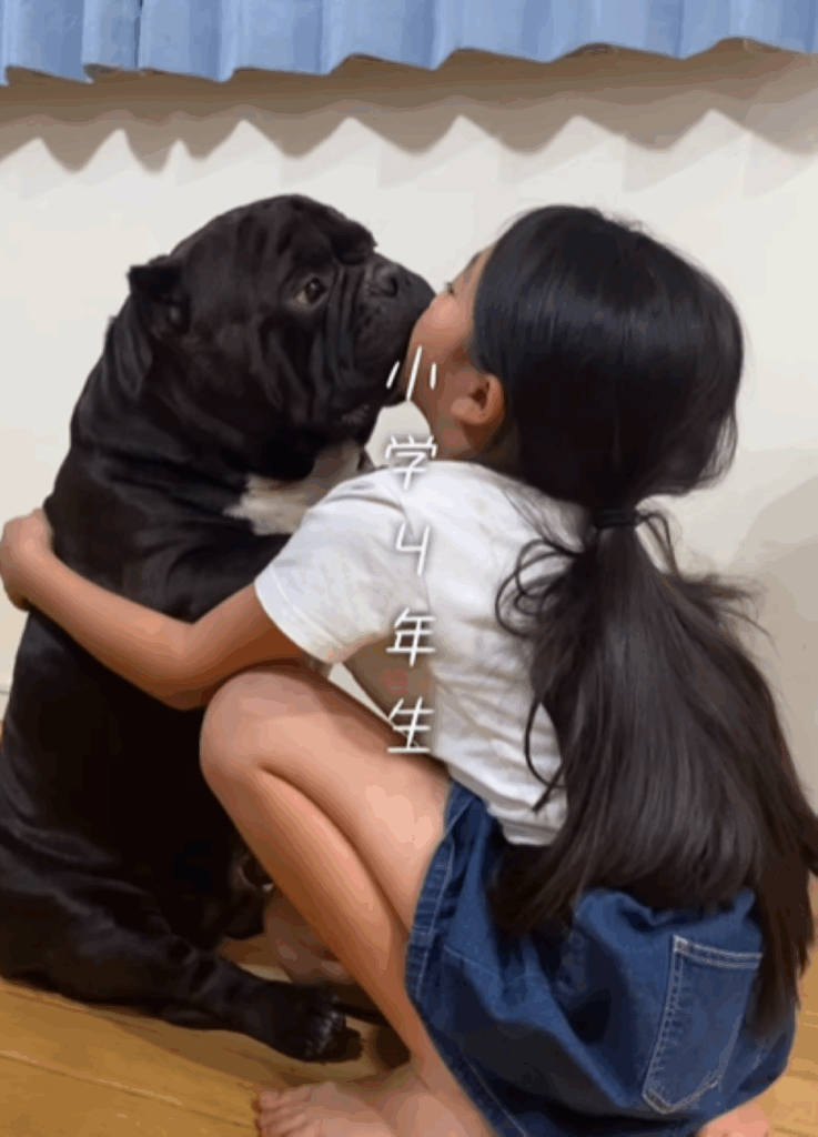 小学4年生（＠americanbully_atom0106さんより提供）