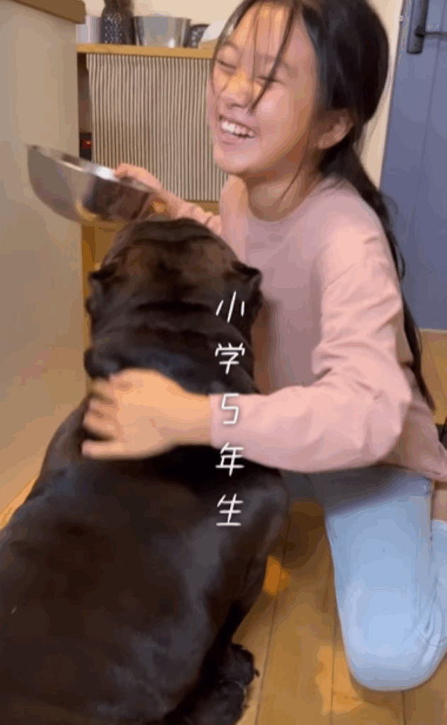 小学5年生（＠americanbully_atom0106さんより提供）