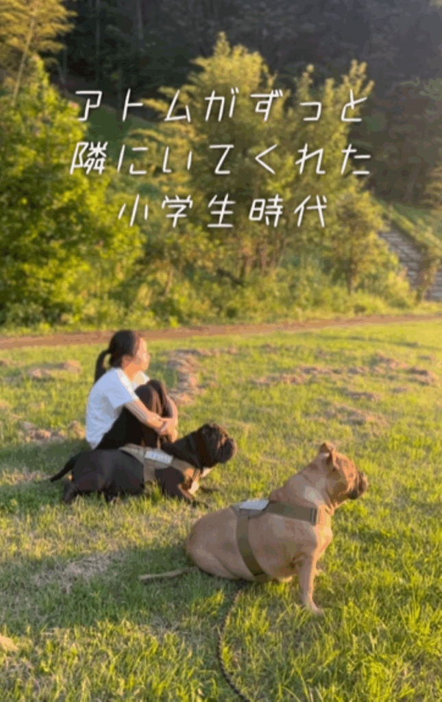 6年間の思い出（＠americanbully_atom0106さんより提供）