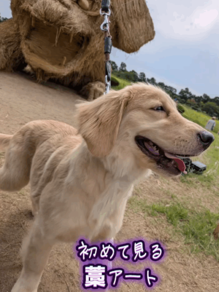 思い出の公園へ（＠kouichikurataさんより提供）