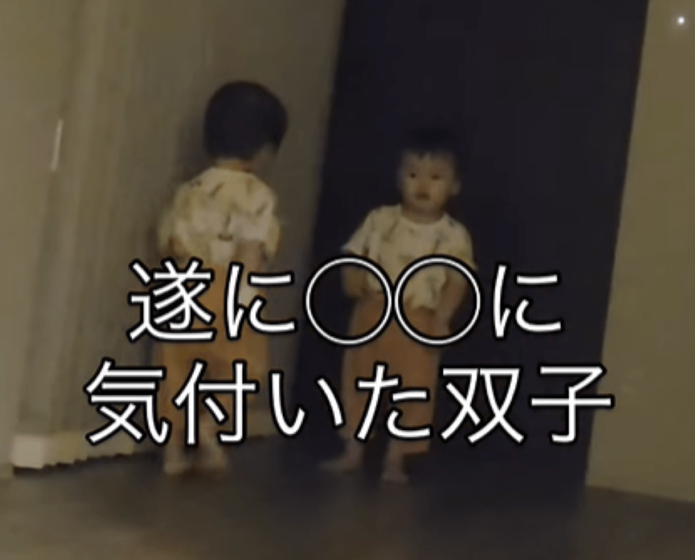 夜、暗くなった室内で…怯えた様子でたたずむ2歳の双子。→視線の先にある“恐怖の対象”に…「うちの子も泣いてた」