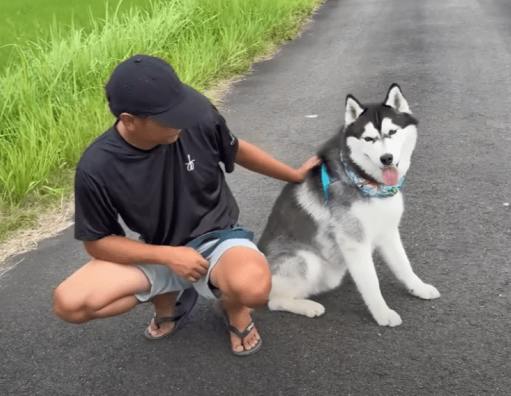 【実際の写真6枚】最終形態の様子