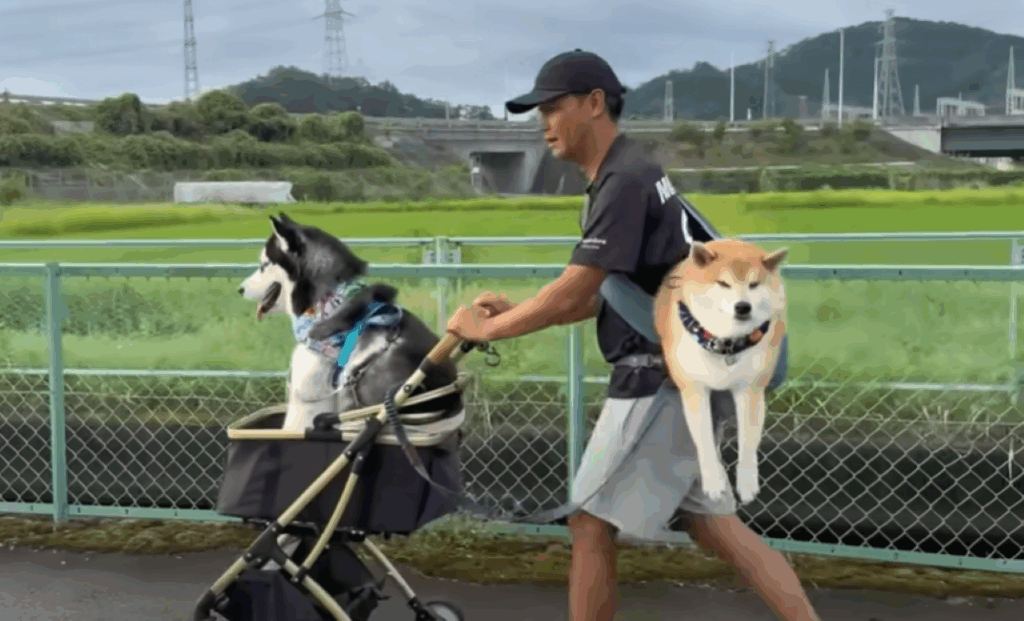 帰り道②（＠mochigomebrothersさんより提供）