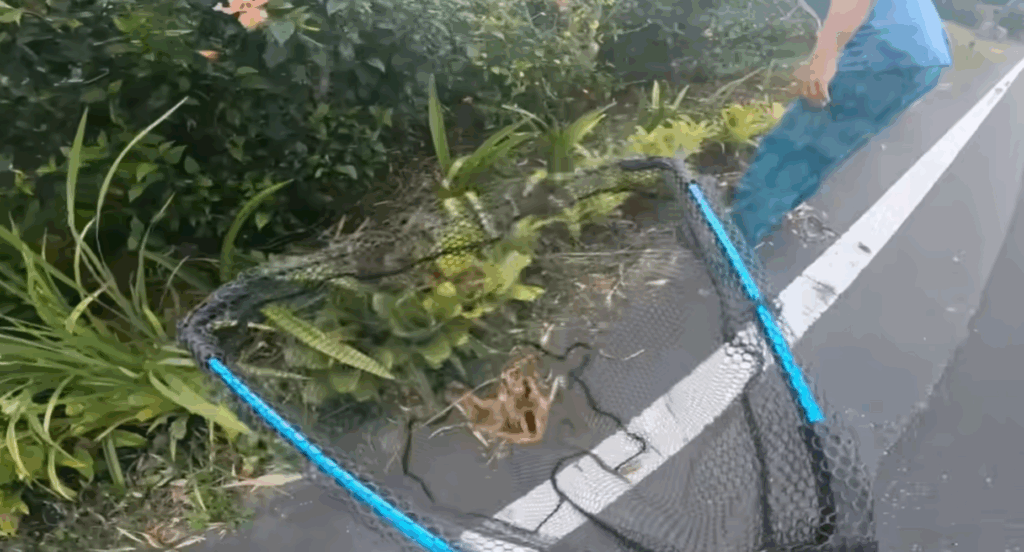 【実際の写真5枚】　１ケ月後の様子