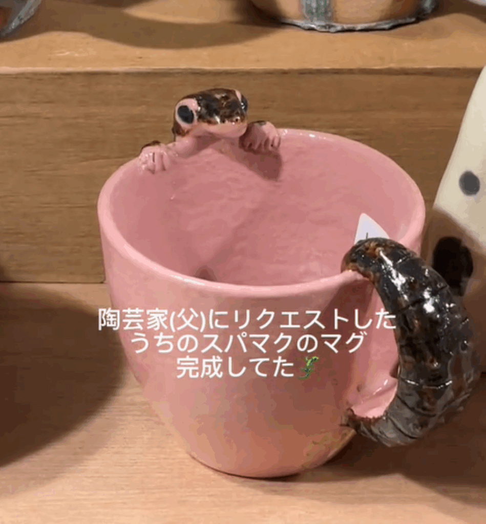 アポロちゃんのマグカップ①（＠apolo___19さんより提供）