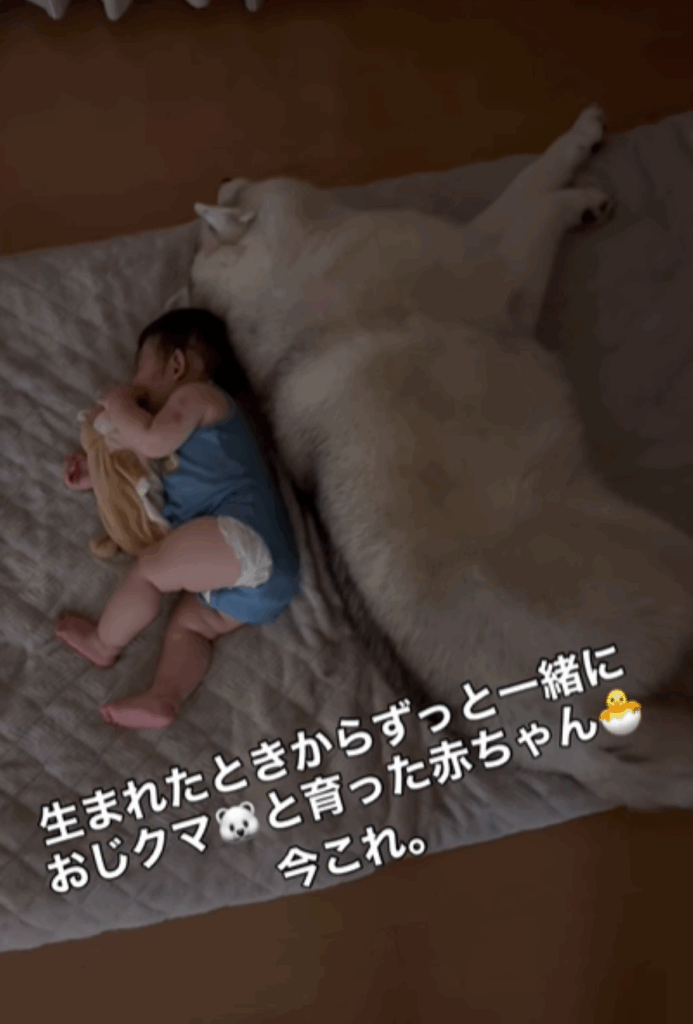 一緒に眠る様子（＠bokumarleyさんより提供）