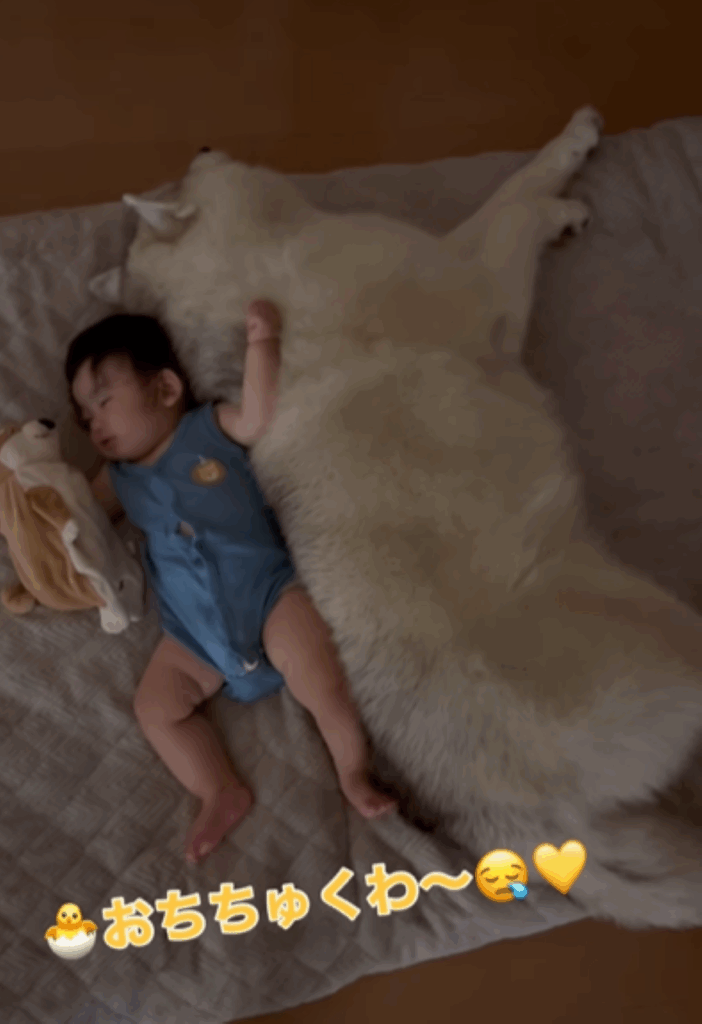 マーリーくんに寄り添う息子さん（＠bokumarleyさんより提供）