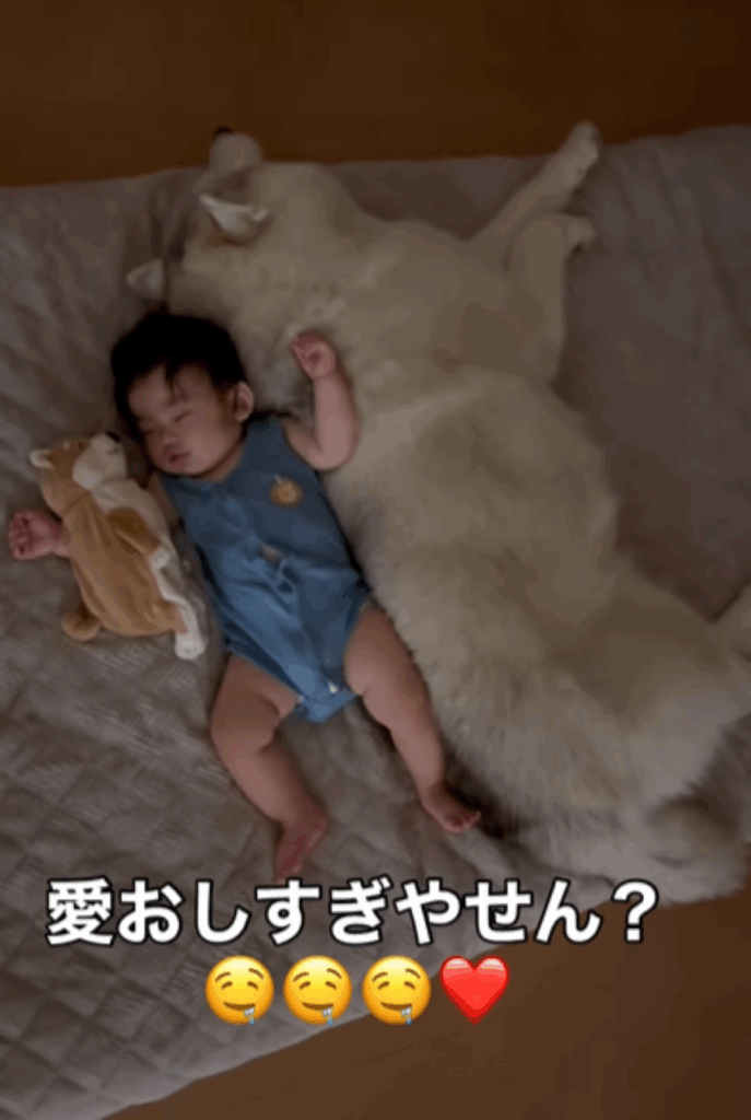 ぐっすり眠る息子さん（＠bokumarleyさんより提供）