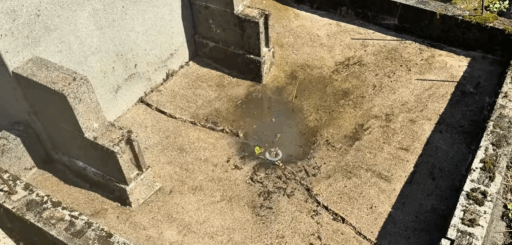 排水溝が見えてきた（＠itadori-houseさんより提供）