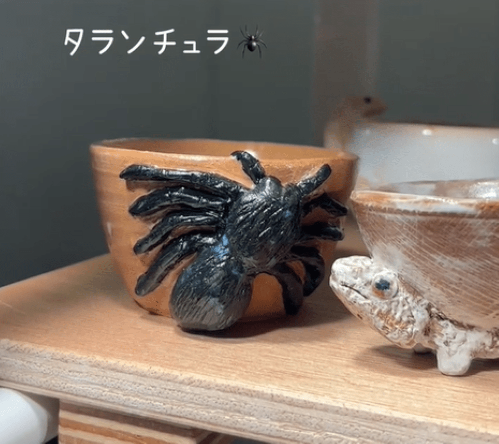 タランチュラのマグカップ（＠apolo___19さんより提供）