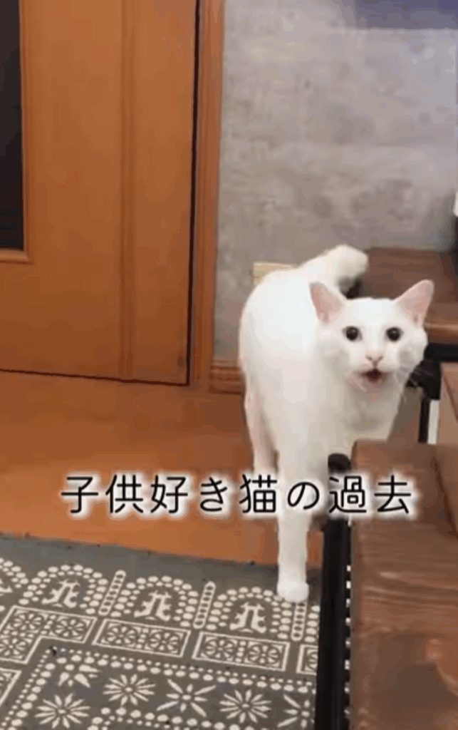 昔のブランちゃん（＠chouchou_cherie_caroさんより提供）