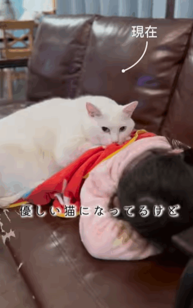 娘さんにもたれる様子（＠chouchou_cherie_caroさんより提供）