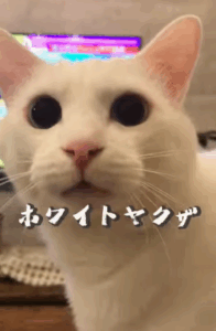 「ホワイトヤクザ」と言われていた白猫　しかし赤ちゃんが産まれると…その後の変化に「違いすぎる」「改心されて…」「今と昔のギャップがまたいい」