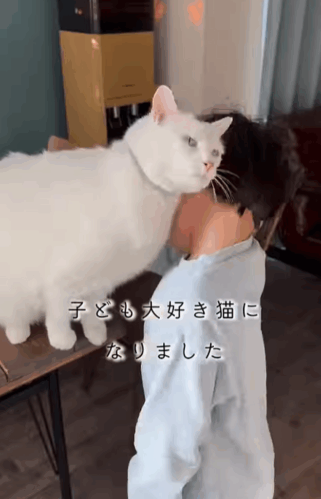 息子さんにスリスリ（＠chouchou_cherie_caroさんより提供）