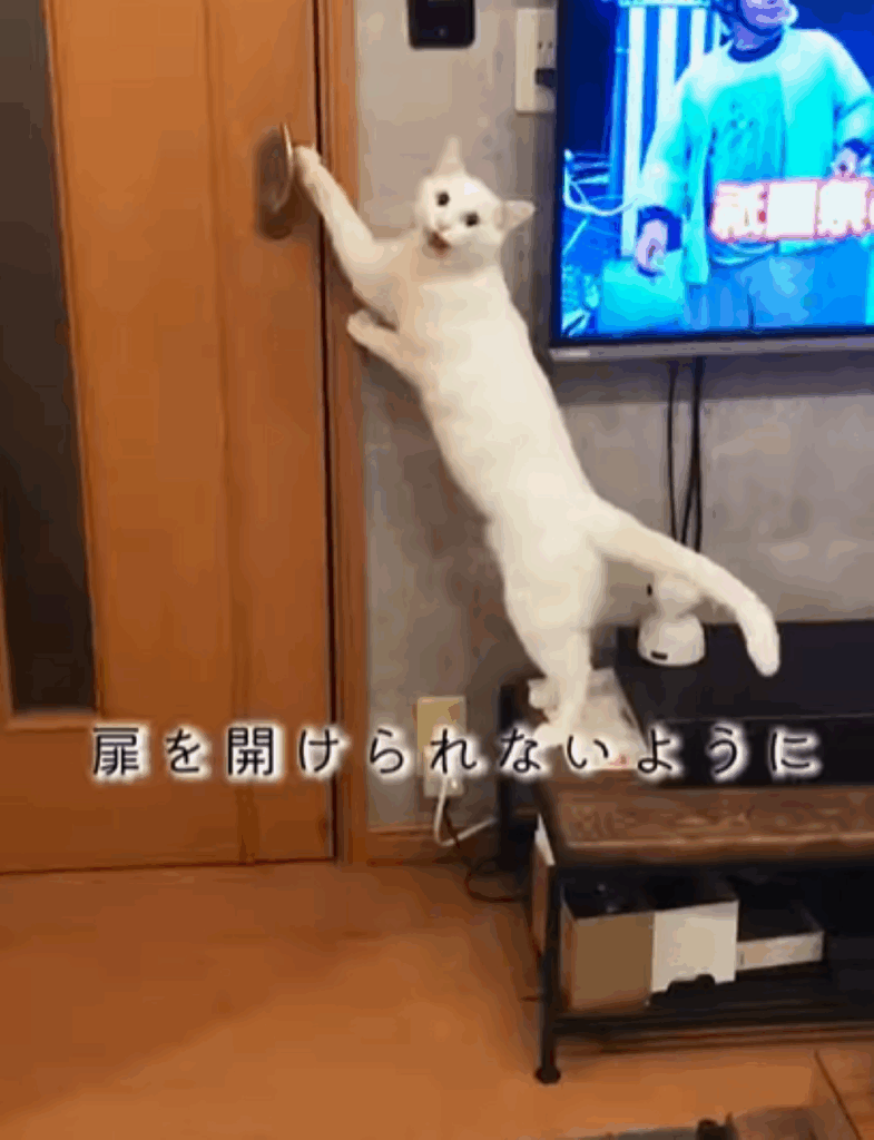 【実際の写真5枚】　現在の様子