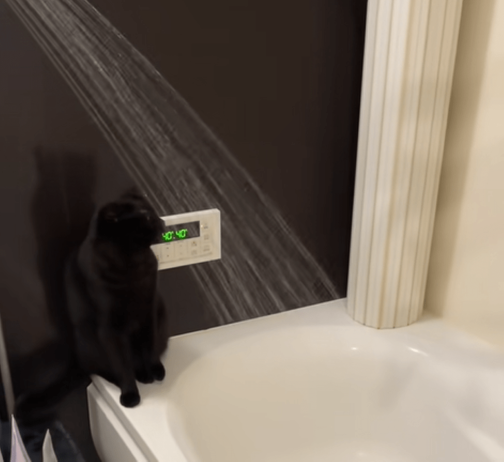 シャワーの出るお風呂場に違和感。→よ～～く見ると…写りこんだ”まさかの光景”に「お風呂ソムリエ」「水道代が…」「強い意志を感じる」