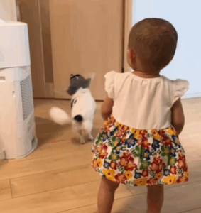 パパが大好きな0歳娘。　パパが帰宅すると…”まさかの行動”に「たまりませんな」「幸せのお裾分け」「疲れも吹っ飛ぶ」