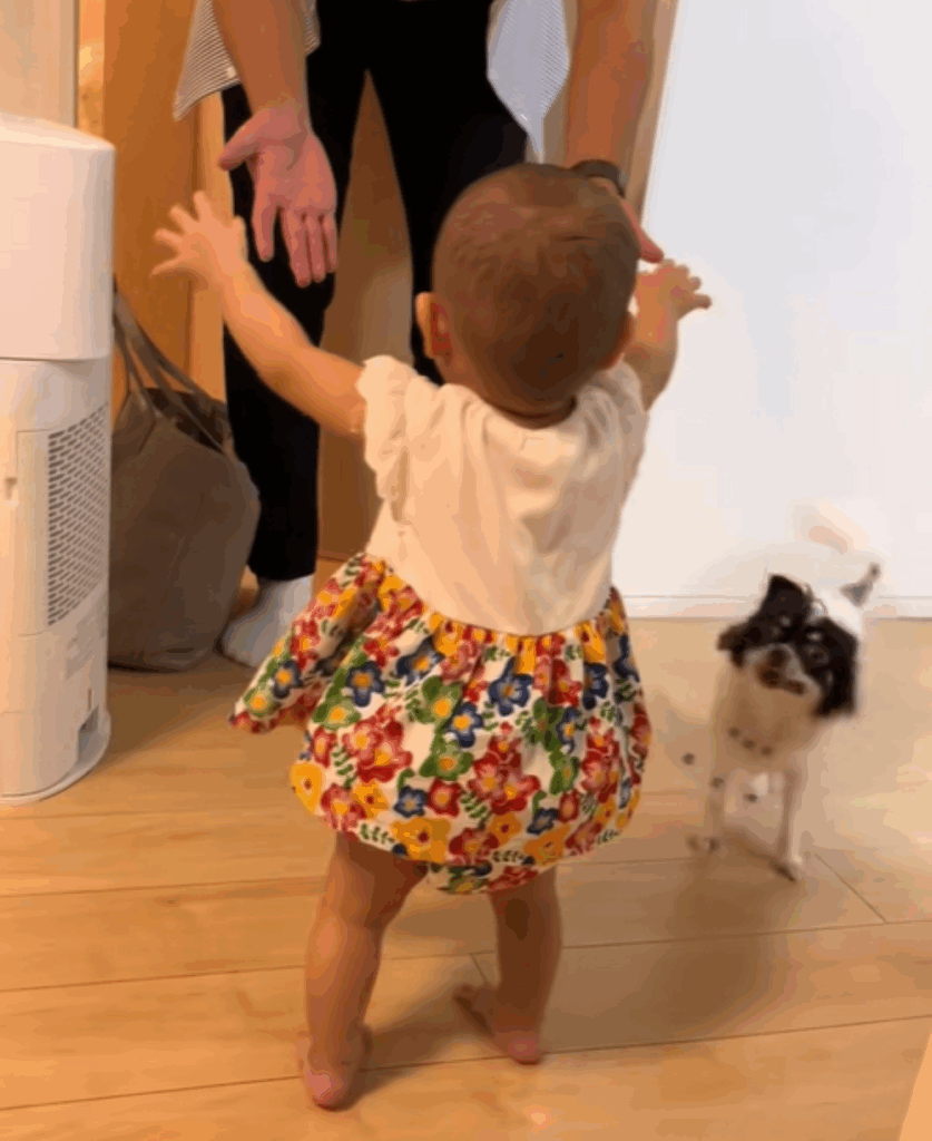 初めてのよちよち歩き（＠maaaaaaa4.14さんより提供）