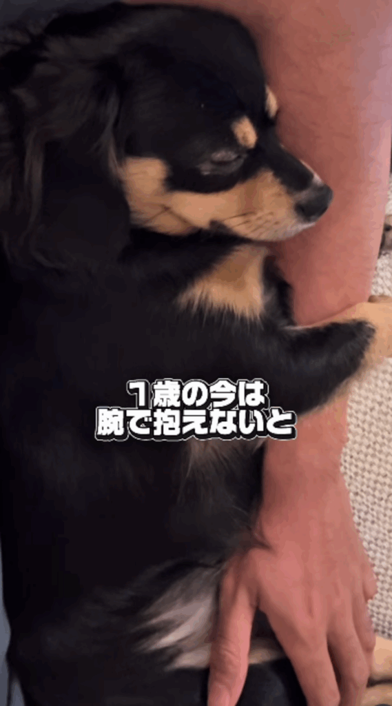 成長した今では…（@inari_92124さんより提供）