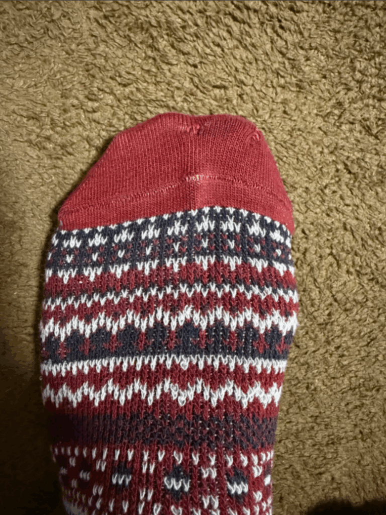 【実際の写真】娘が用意したモノ