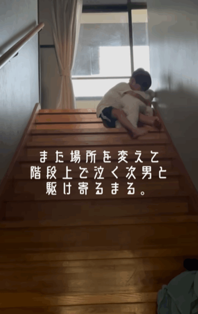 駆け寄るまるくん（＠maru.maru.maru.218さんより提供）