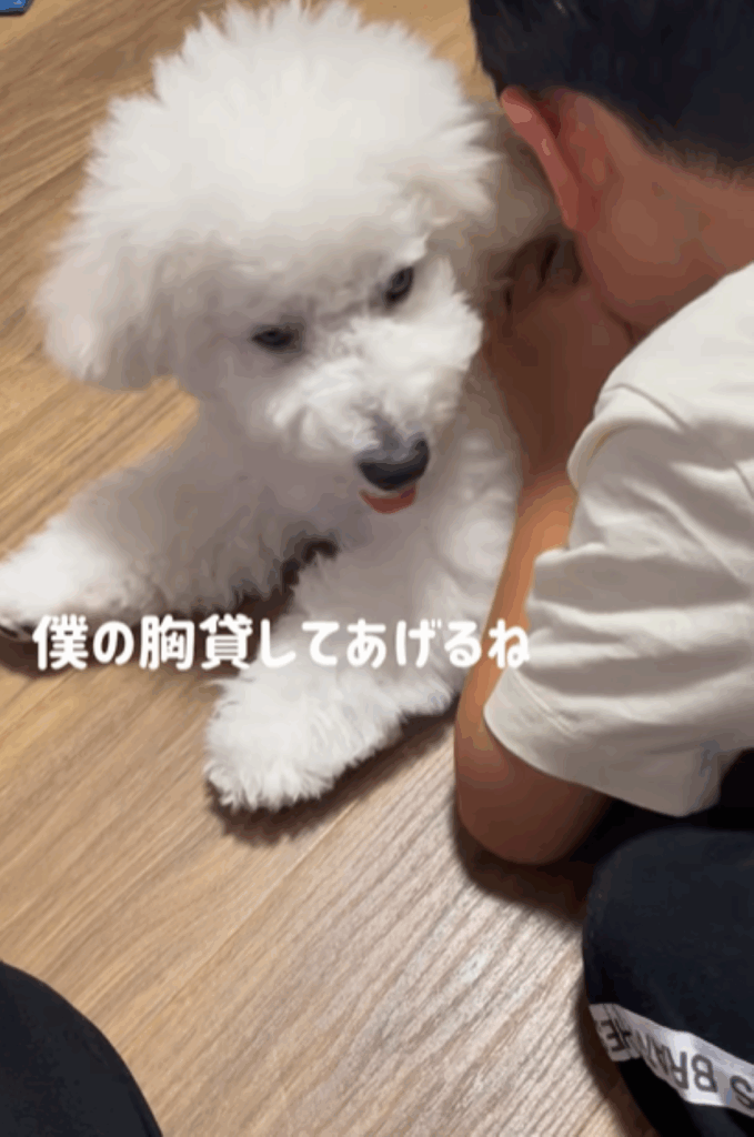 胸を貸してあげる様子（＠maru.maru.maru.218さんより提供）