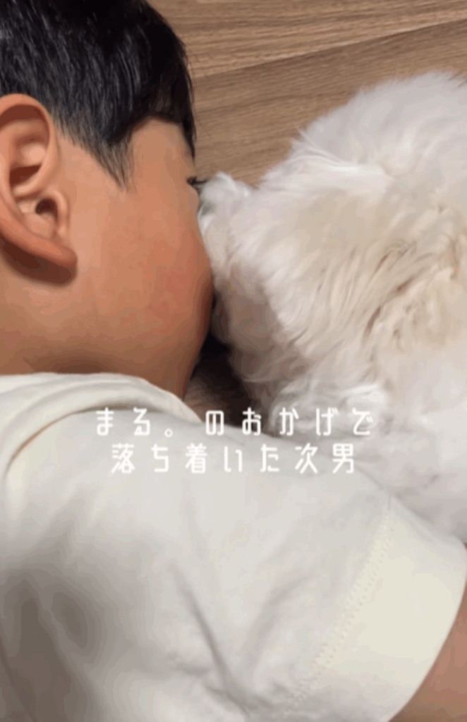 落ち着いた次男くん（＠maru.maru.maru.218さんより提供）