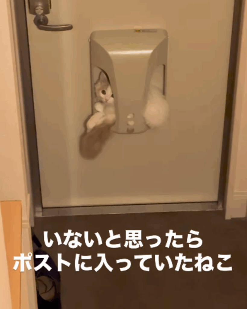 いないと思ったら…（@mirin_tsunaさんより提供）