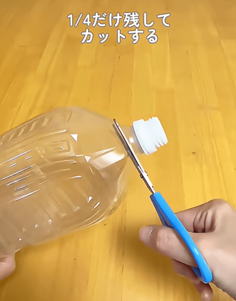 ペットボトルにひと工夫するだけで…ごみ捨ての便利アイデアに「素敵な発想ですね」