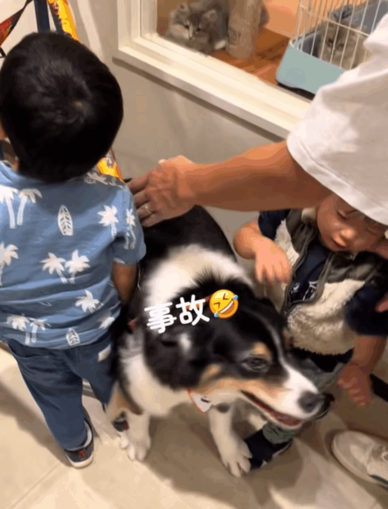 レアちゃんが弟くんにぶつかるハプニング（＠lleeaa_0327さんより提供）