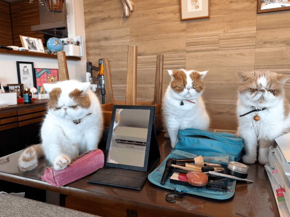 仲良し親子（@ekizonokinakoさんより提供）