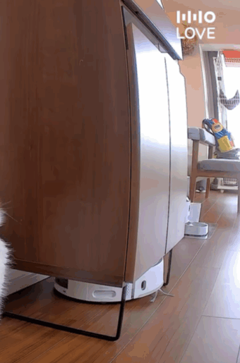 外出中、掃除ロボットからの通知「動けません」→そこに写っていた『まさかのもの』に…「心配してる」「可愛すぎ」