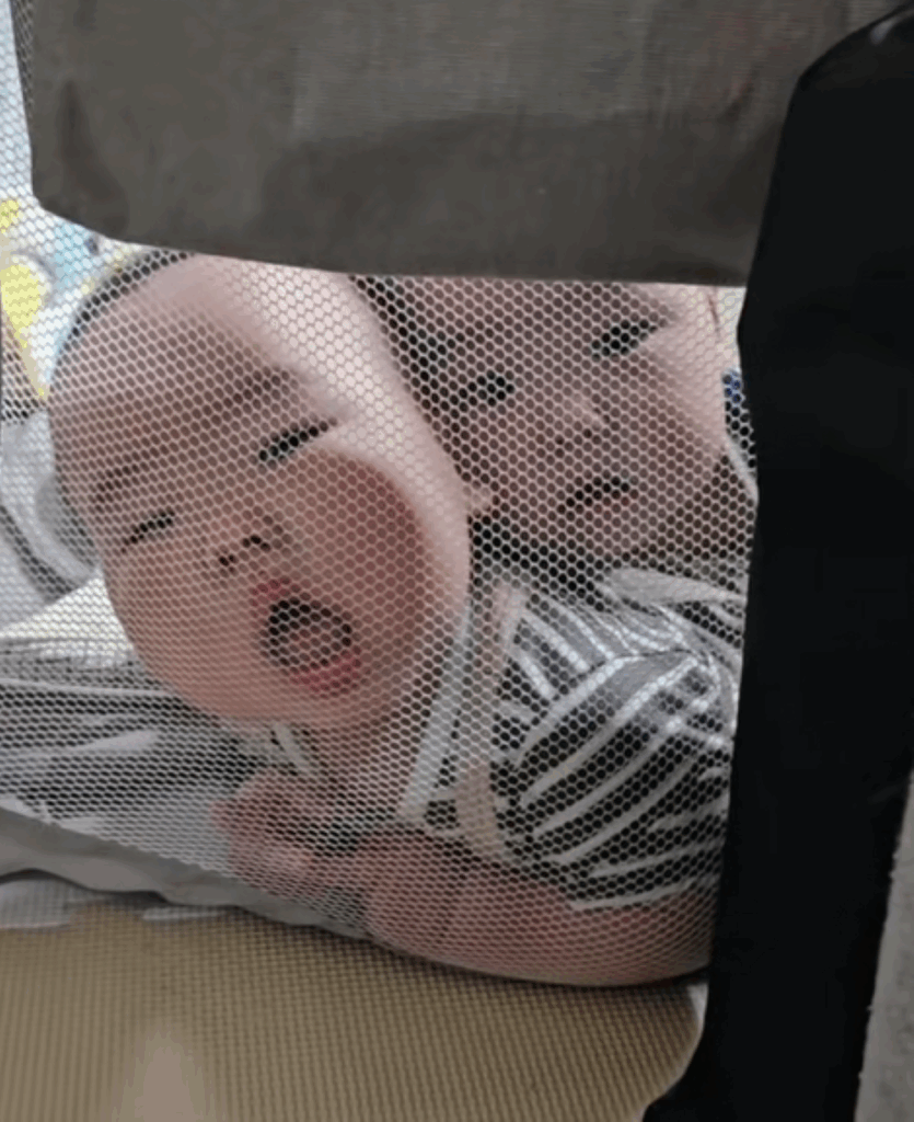 必死な弟くん・真顔のお兄ちゃん（＠usertatunokonkonoko8さんより提供）