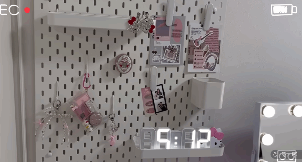 完成した壁面インテリア（＠せらのへや-newさんより提供）